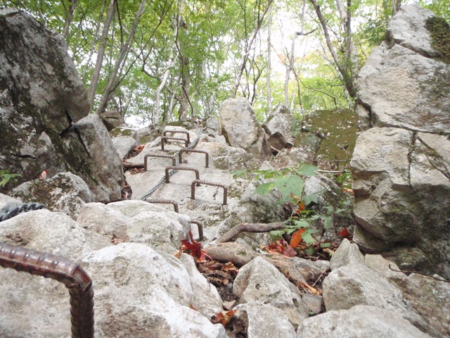 c0147398_22573171.jpg