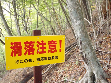 c0147398_22581324.jpg