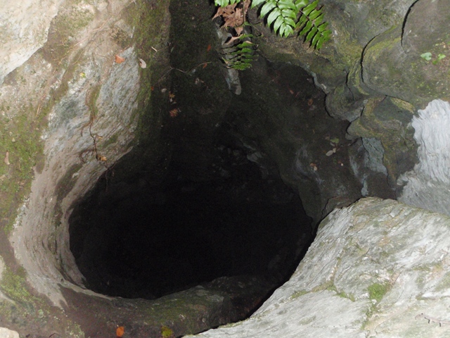 c0147398_2258387.jpg