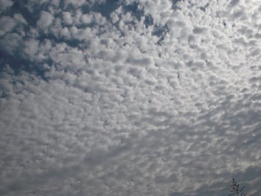 e0087901_1493694.jpg