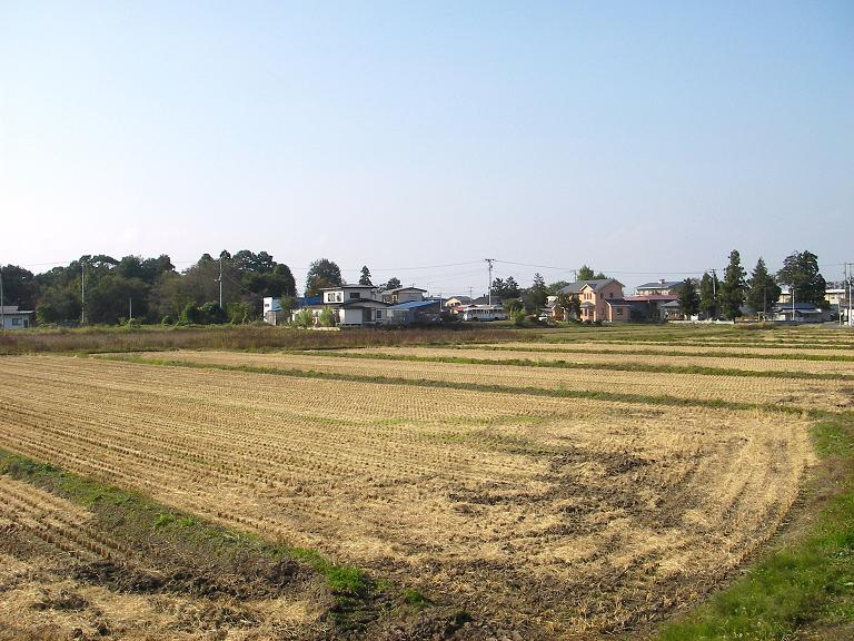 f0034602_20371391.jpg