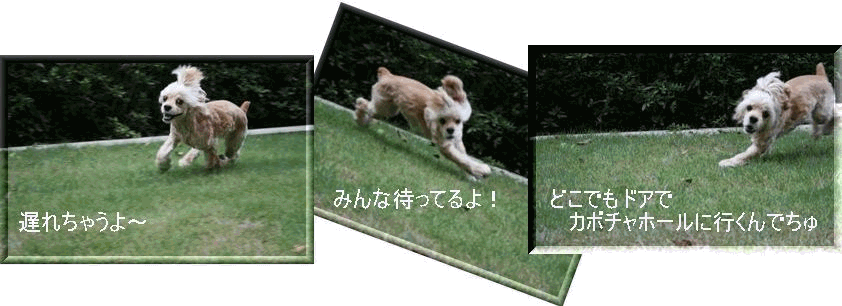 c0128303_2234427.gif
