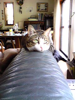 d0023103_17491217.jpg