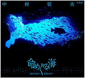 d0137604_242956.gif