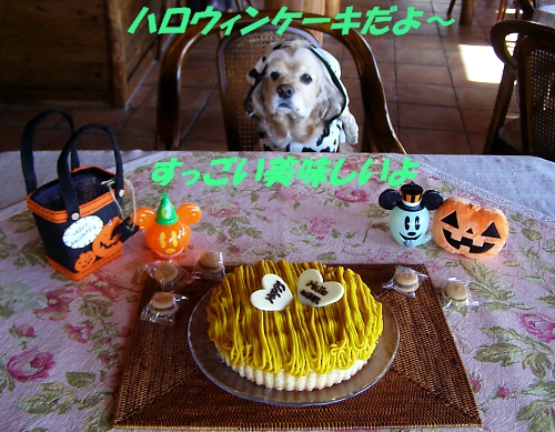 ハロウィンパーチー、開催!!_b0067012_1338373.jpg