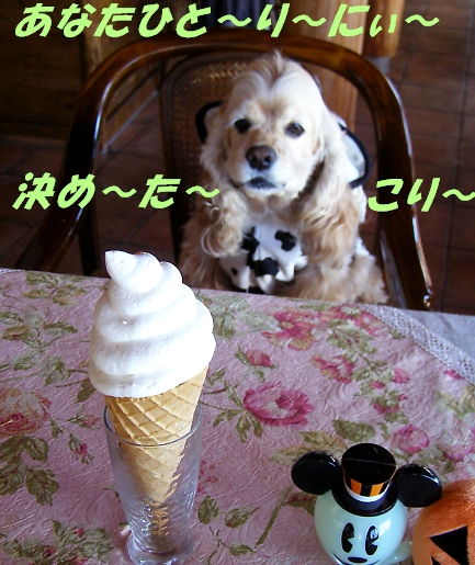 ハロウィンパーチー、開催!!_b0067012_13492633.jpg