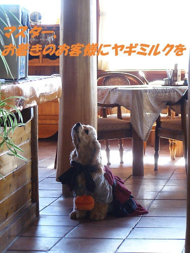 ハロウィンパーチー、開催!!_b0067012_901489.jpg