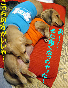 c0108112_1104553.jpg