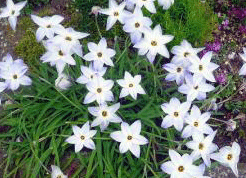 a0055913_19143713.gif
