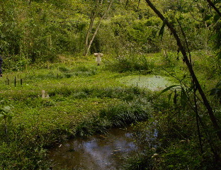 e0112213_11502364.jpg