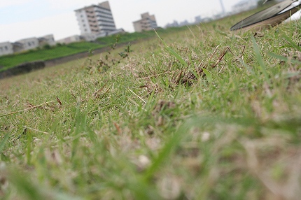 f0191413_12591858.jpg