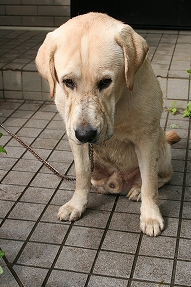 f0191413_1384627.jpg