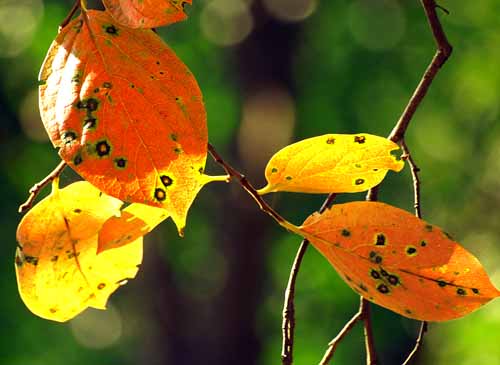 a0023315_15193071.jpg