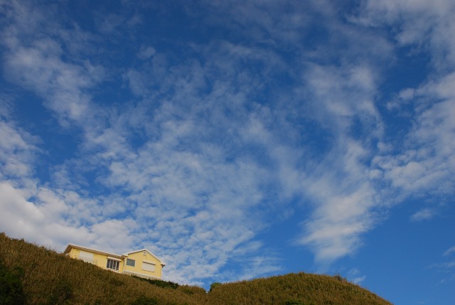 d0065116_22215322.jpg