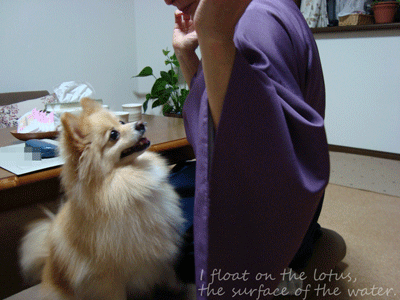 b0075318_2312256.gif