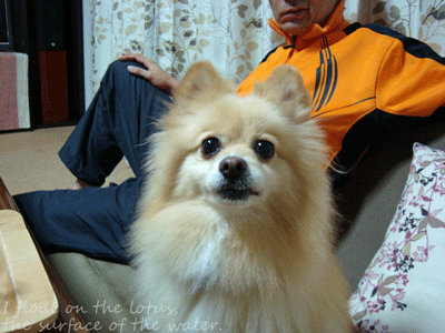 b0075318_23141467.gif