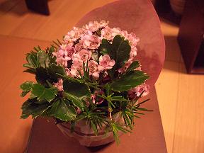 b0132522_0182645.jpg