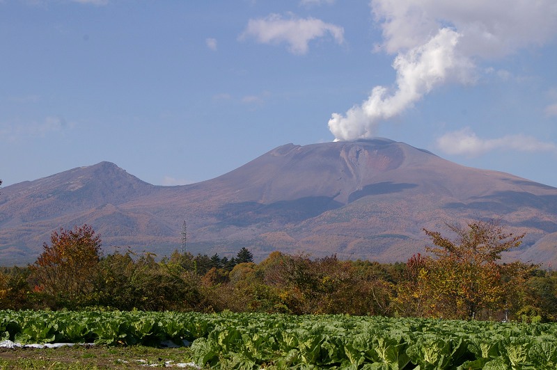 e0136424_944685.jpg