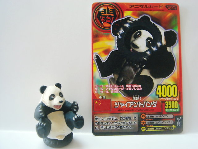 アニマルカイザー　どんちゃん 百獣大戦グレートアニマルカイザー どんちゃん - メルカリ