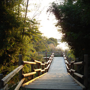 湖のまわりを散歩する walk by the side of the lake _e0131432_10362630.jpg