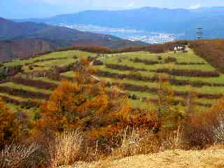 d0127634_14214436.jpg