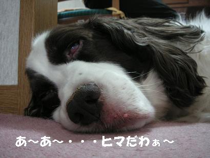c0179136_16521.jpg