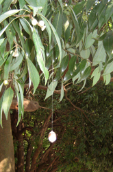 f0038336_927393.jpg