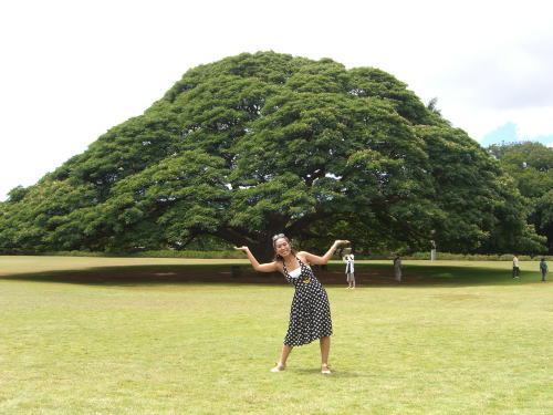 初HAWAII☆_c0043737_19403850.jpg