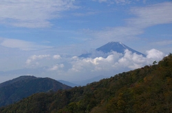 秋深し・・・表丹沢と遠く富士_c0171849_1114429.jpg
