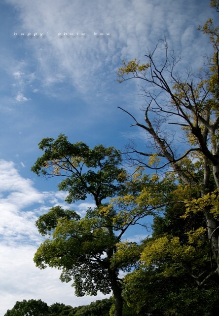c0156854_21151599.jpg
