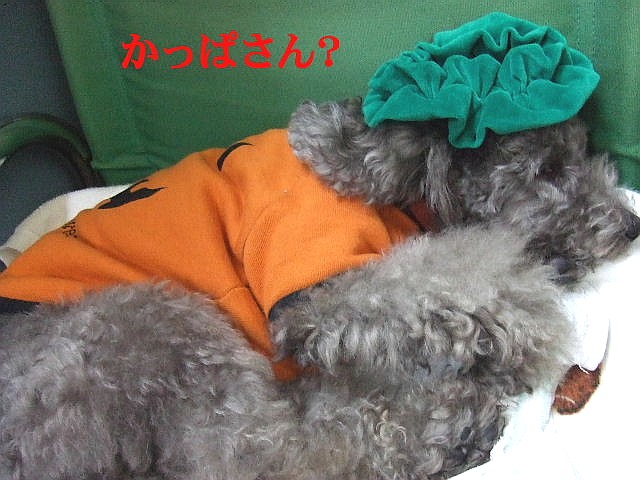 e0129656_21405373.jpg