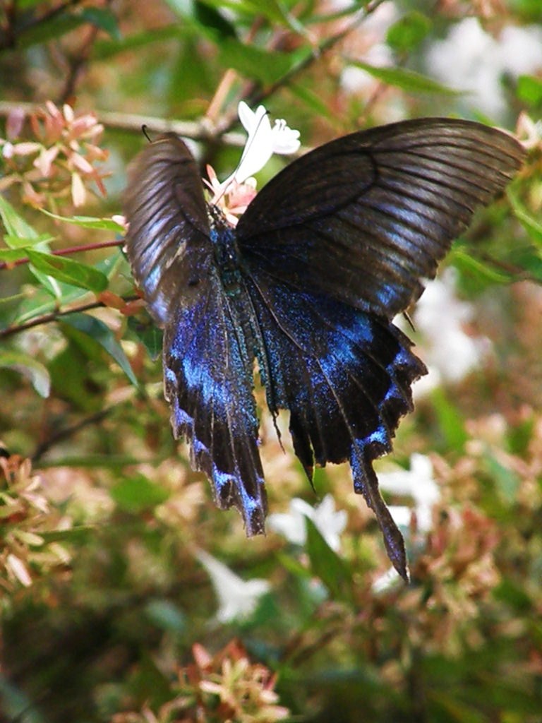 e0064158_19012.jpg