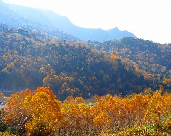 ＜200８年１０月１８～１９日＞Ｆツアー・０８秋の山旅「岩菅山＆白砂山」：（その１）_c0119160_2222497.jpg