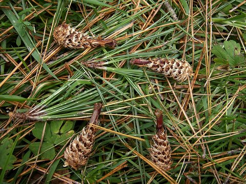 b0130166_1814265.jpg