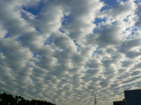 木曜日の雲と金曜日の刺身_d0010073_2325960.jpg