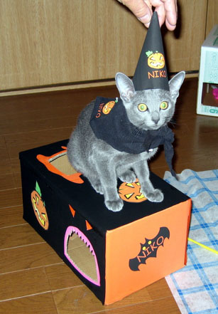 HALLOWEEN CAT (^-^)g\"_d0045973_10244319.jpg