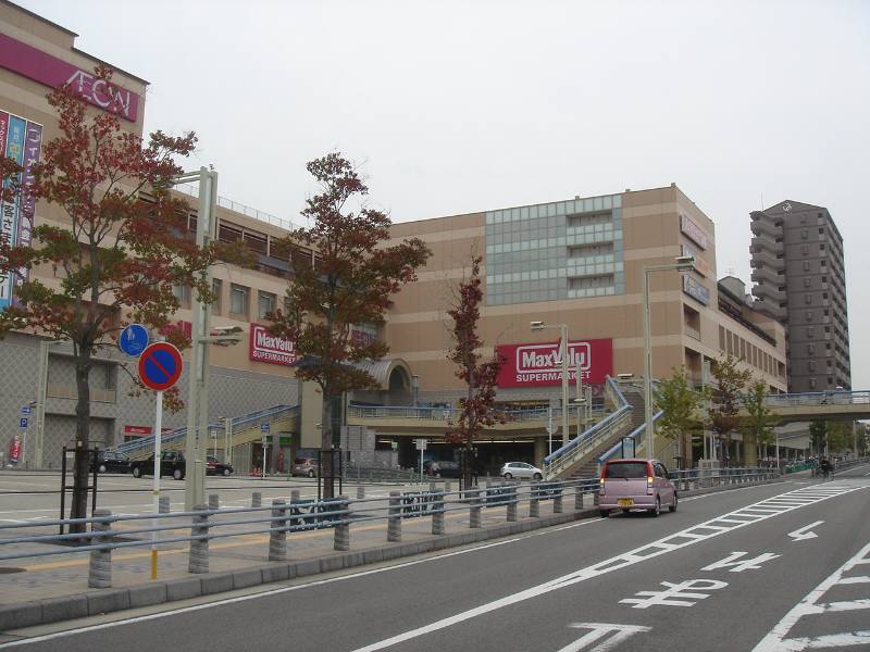 f0059673_1991160.jpg