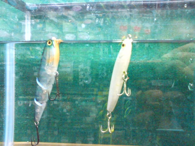 ハマクル_a0040876_18381357.jpg