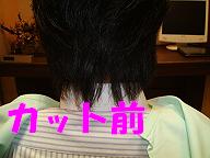 c0154876_1624189.jpg