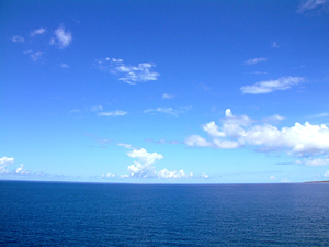 海が見たい。_b0007182_1221527.jpg