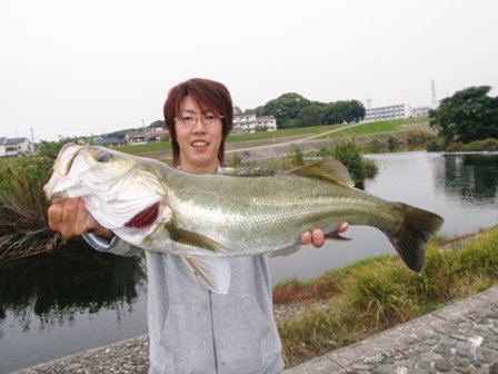 ここからダウンロード 猪名川 バス釣り ポイント 人気のある画像を投稿する ここからダウンロード 猪名川 バス釣り ポイント 人気のある画像を投稿する