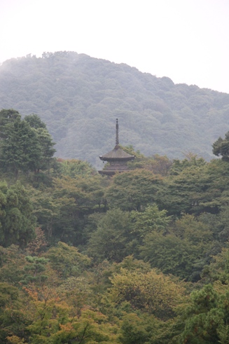 f0128092_34442.jpg