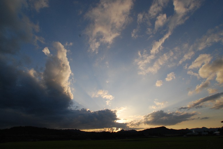 d0085096_1543476.jpg