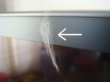 c0165498_88252.jpg