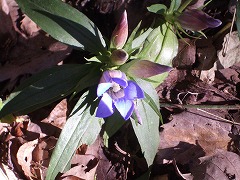c0124100_17381078.jpg