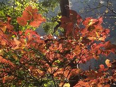 c0124100_17401442.jpg