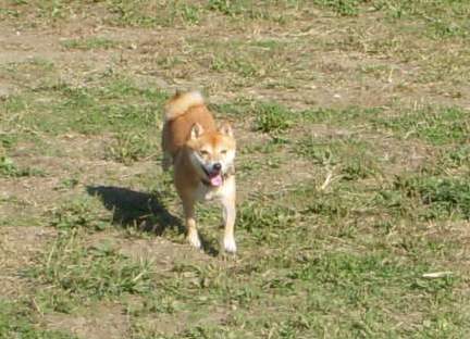 f0004309_22231397.jpg