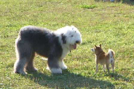 f0004309_22273261.jpg