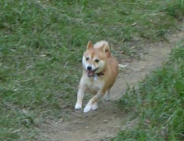 f0004309_22375481.jpg