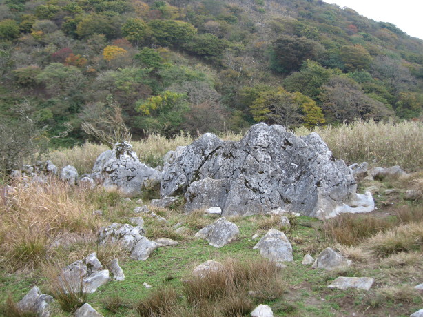d0103314_23135817.jpg